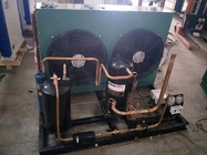 Unidade de condensação fácil 380V/50Hz do armazenamento frio da instalação para a sala fria do hotel