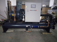 60HP água - unidade de refrigeração do compressor do parafuso com meio e alta temperatura