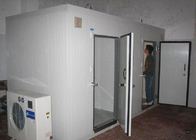 porta nivelada de aço do estilo aberto do balanço das portas do armazenamento frio de 850 * de 1800mm para o hotel