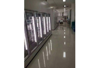 Portas feitas sob medida personalizadas do armazenamento frio/porta de vidro para o congelador da medicina