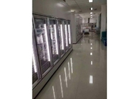 Sala fria do congelador da porta de vidro transparente para o armazenamento do alimento do vegetal e do fruto