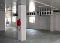 Sistema de refrigeração para o hotel, cor branca da sala de armazenamento frio do painel do plutônio da isolação