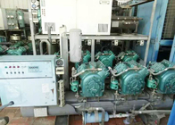 Sala de armazenamento frio modular da estação de processamento com compressor de