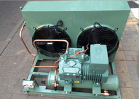 Unidade de condensação de refrigeração ar da refrigeração do armazenamento frio com o compressor de 5HP