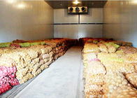 Sala de armazenamento frio do vegetal ou do fruto com o painel do plutônio da isolação do ³ 43kg / m