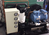 Unidade de condensação hermético profissional refrigerar de ar para o refrigerador da medicina do hospital