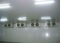 Painel comercial de mantimento fresco do plutônio refrigerar de ar da sala do congelador com alta intensidade