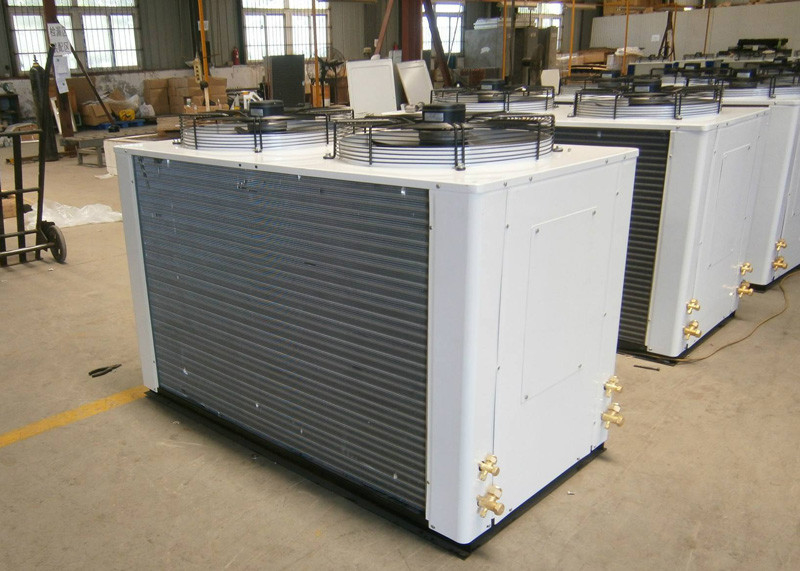 Unidades de condensação da refrigeração de Copeland da baixa temperatura 6HP para interno e exterior